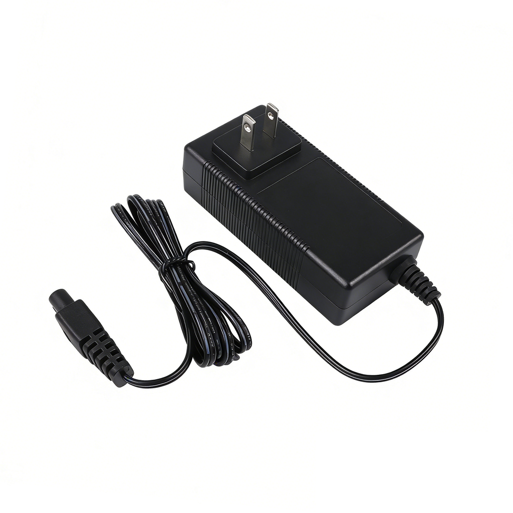 WYBOT C1 & C2 & C2V Charger